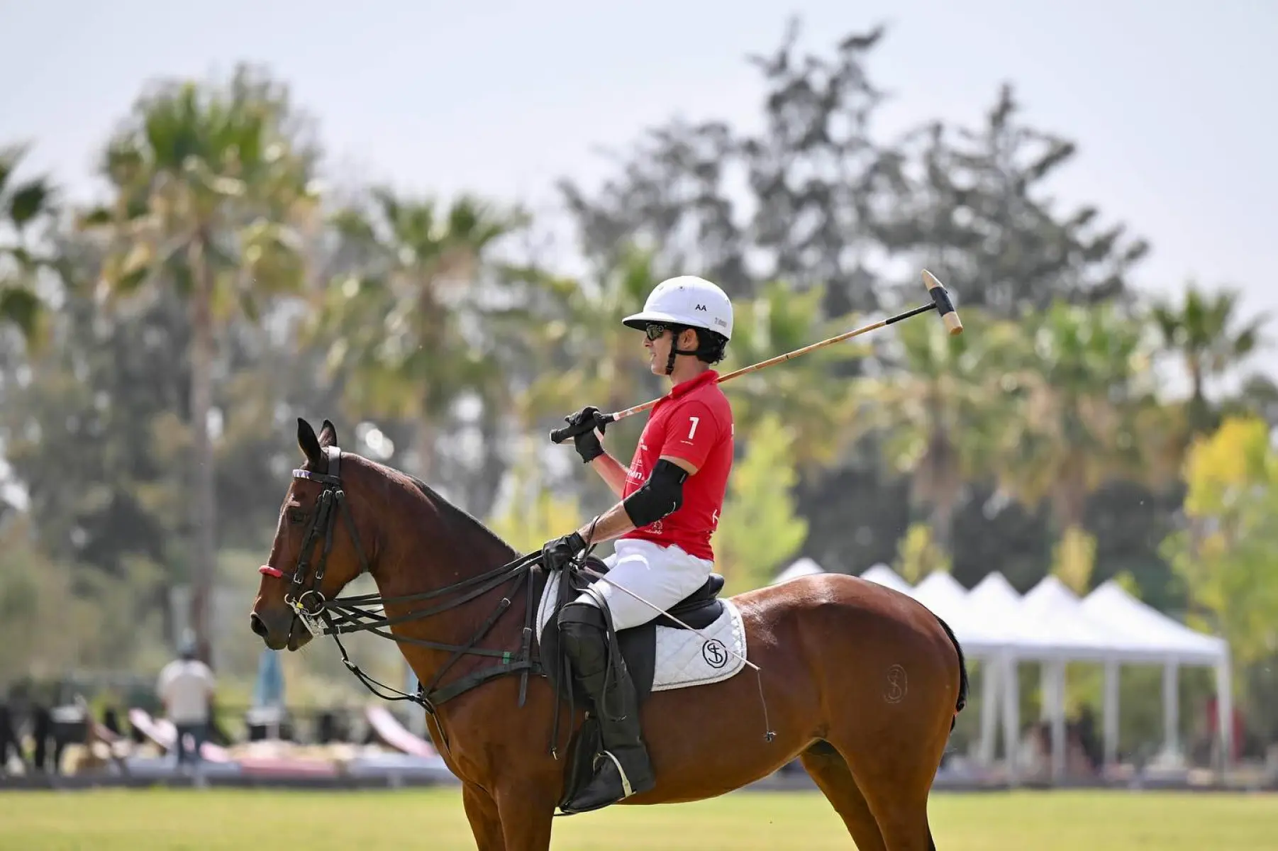 Aaron Díaz Embraces Polo Lifestyle With New Photo Series From The Field Mexican actor showcases his passion for the equestrian sport in striking new Instagram photos