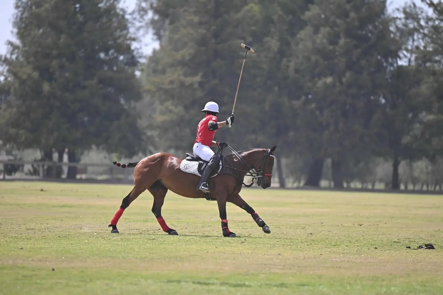 Aaron Díaz Embraces Polo Lifestyle With New Photo Series From The Field