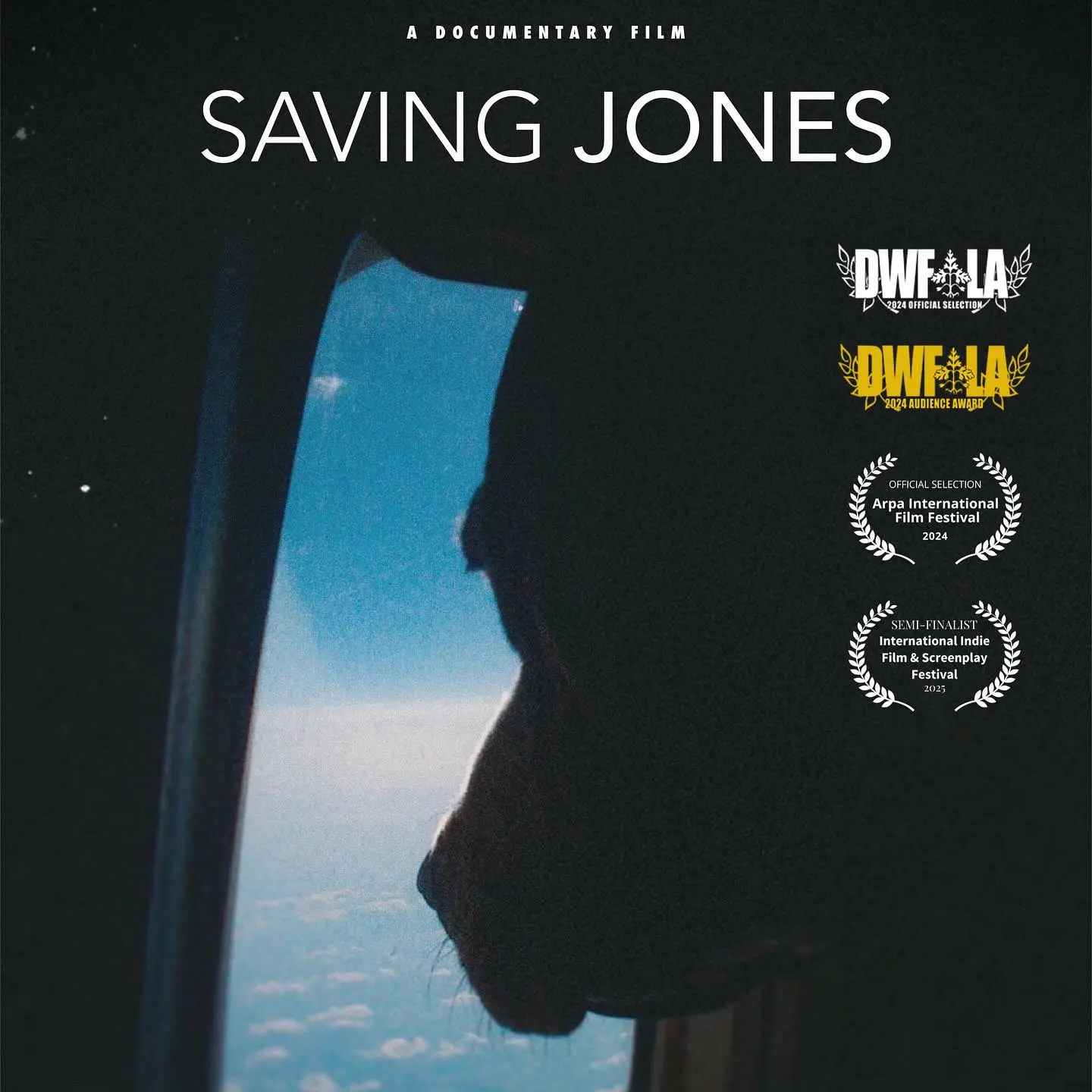 Award-Winning 'Saving Jones' Documentary Screened At Madonna University To Educate Students On Dogfighting