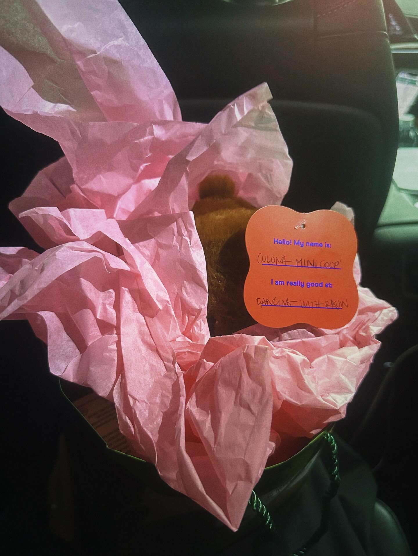 Becky G Dances With Rauw on Instagram, Sparking Fan Frenzy