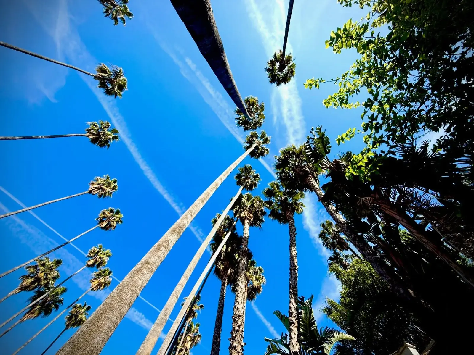Benjamin Byron Davis Shares Bob Dylan Quote In Striking Los Angeles Sky View Red Dead Redemption 2 voice actor reflects on boundless horizons in poetic Instagram post.