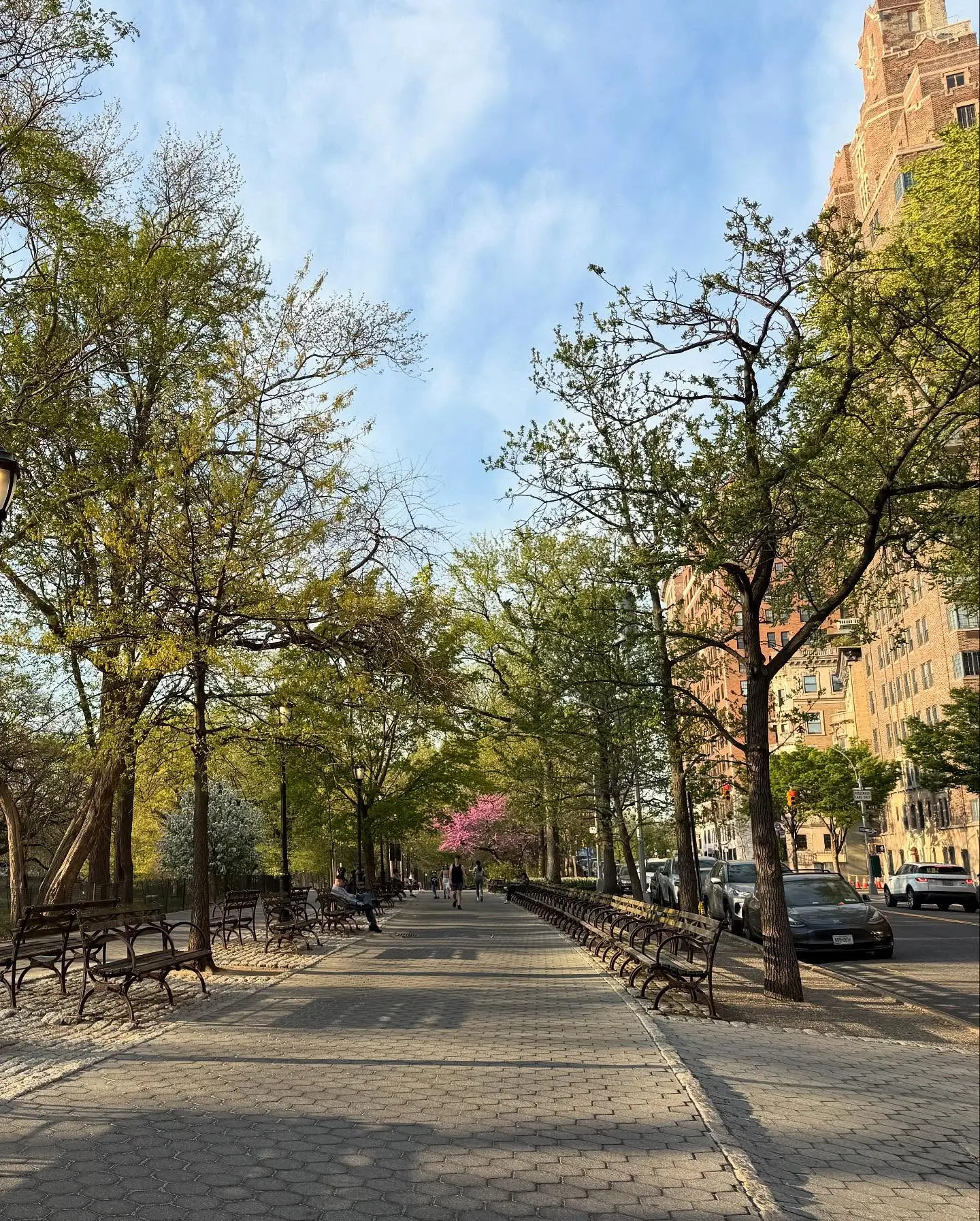 Cady McClain Shares Spring Moments With Her Dog Logan In Flower-Filled NYC