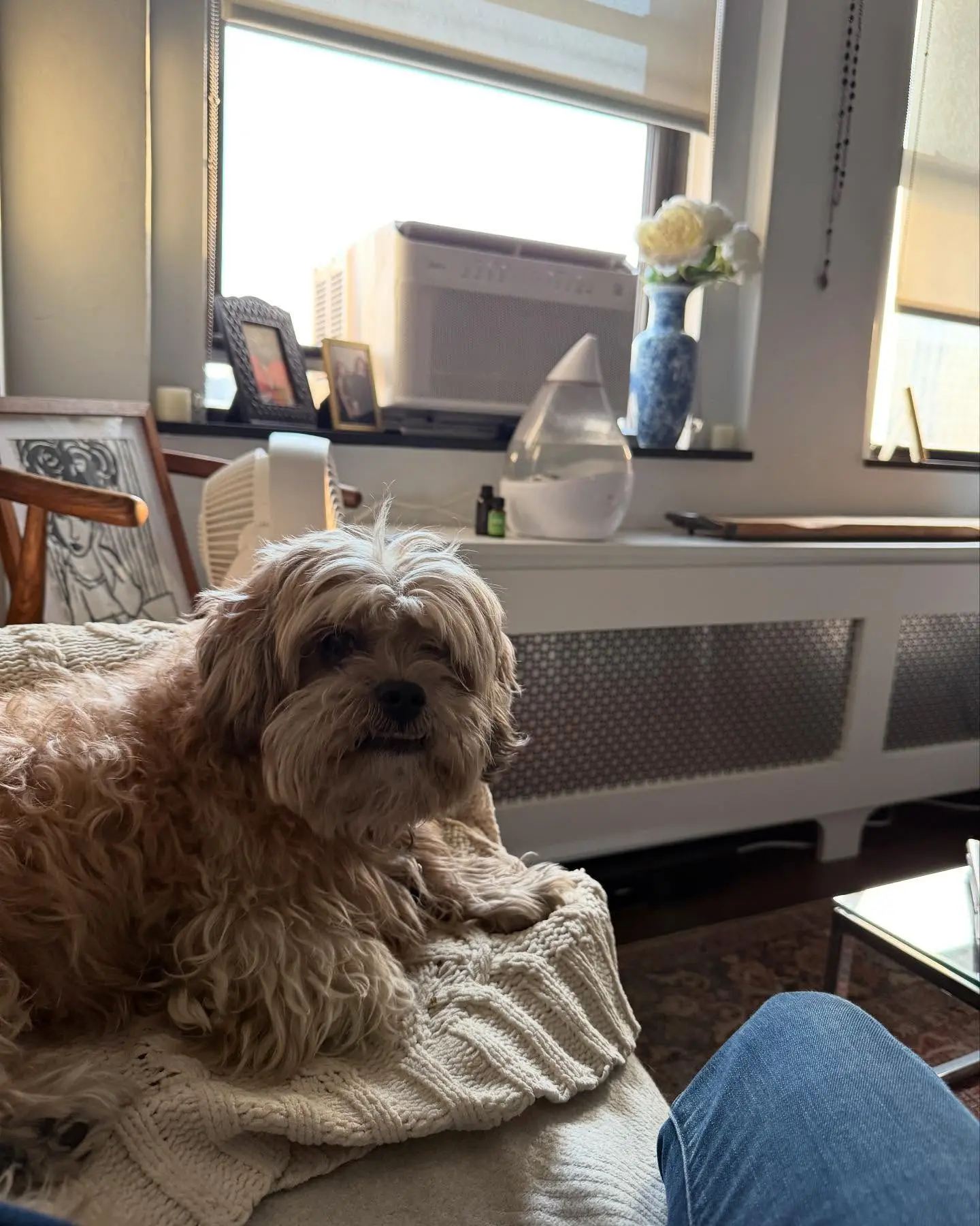 Cady McClain Shares Spring Moments With Her Dog Logan In Flower-Filled NYC