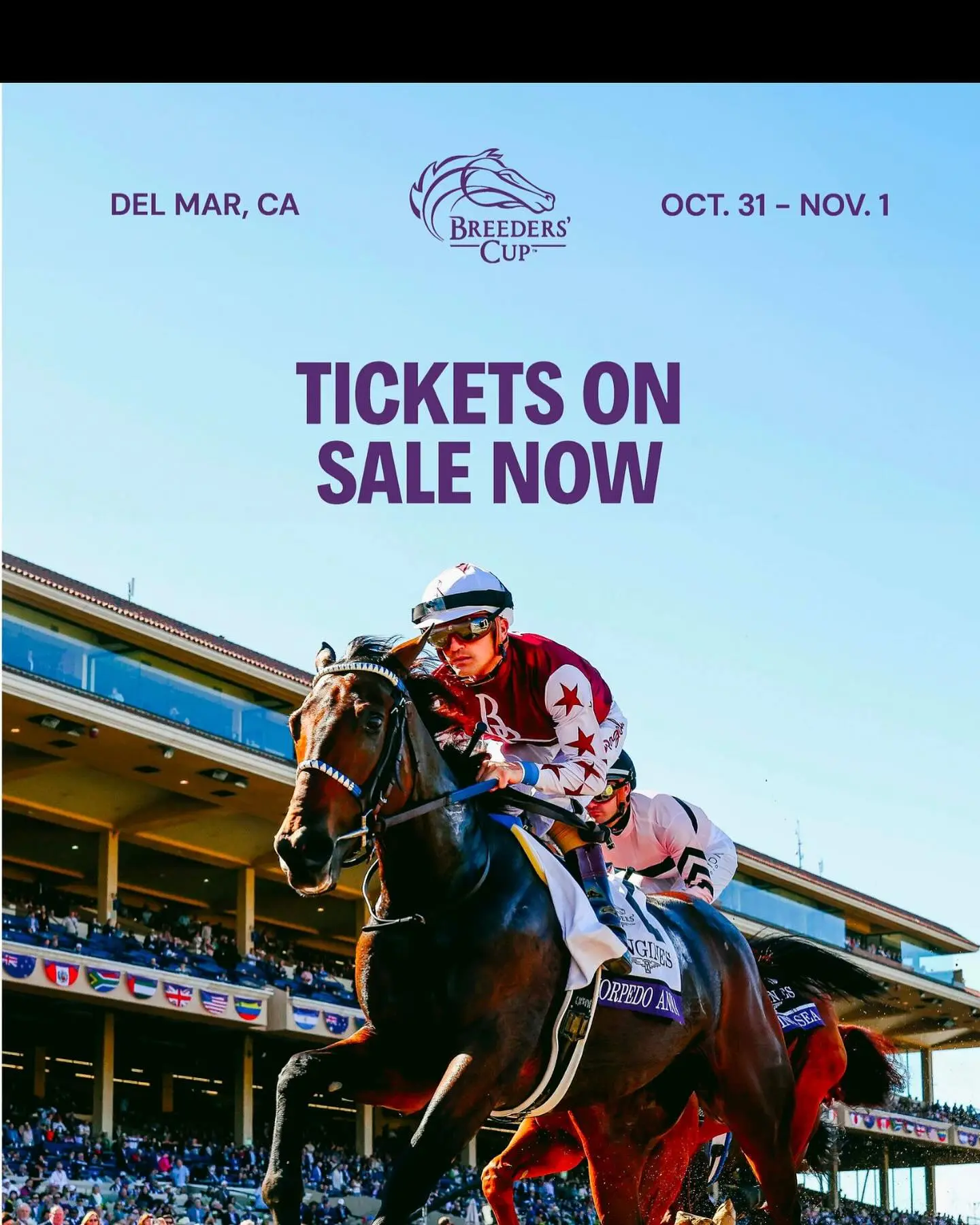 Carson Kressley Announces Breeders’ Cup Tickets Now On Sale, Invites Fans To Del Mar Carson Kressley Announces Breeders' Cup Tickets Now On Sale, Invites Fans To Del Mar