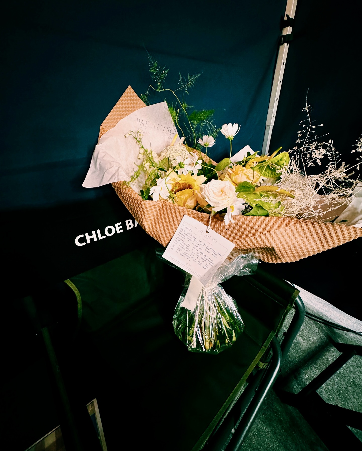 Chloe Bailey Wraps Two-Month Film Shoot in South Africa
