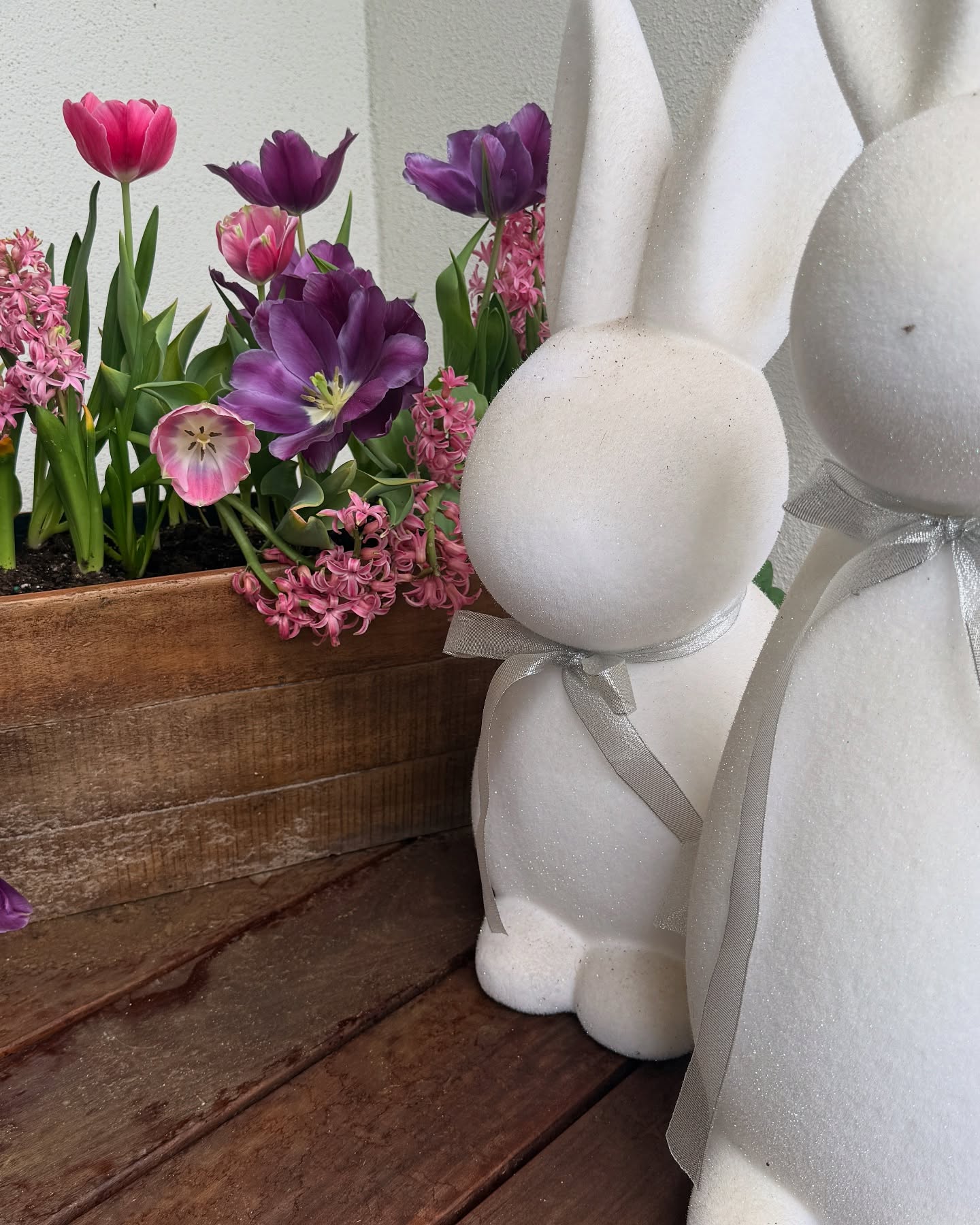 Christy Carlson Romano Thrives In Austin With Exciting April Adventures