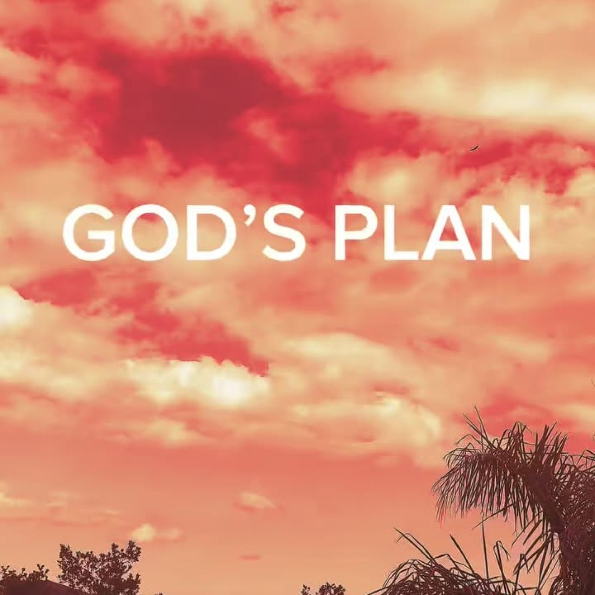 Actor Shares Daily Devotions For Hope And A Brighter Future A gentle reminder of hope, love, and a positive future.