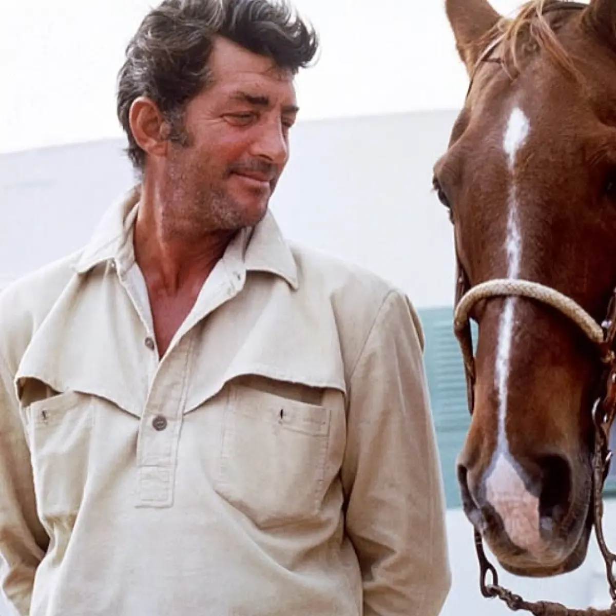 Deana Martin Celebrates National Help A Horse Day Daughter of Dean Martin shows her love for horses on Instagram.