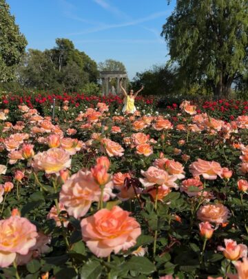 Dancing star encourages fans to pause and appreciate nature's simple pleasures in spring