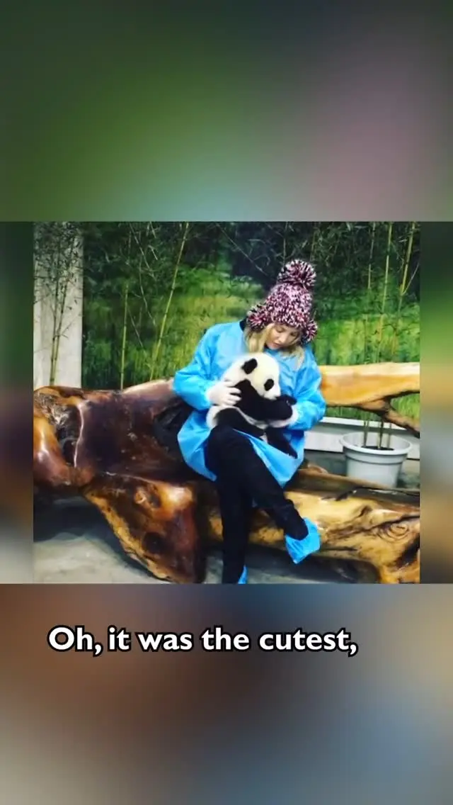 Ellen DeGeneres Jokes About Wanting To Hold Panda Cubs, References Kate Hudson Ellen DeGeneres Jokes About Wanting To Hold Panda Cubs, References Kate Hudson