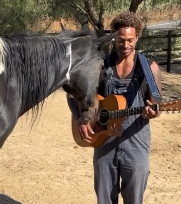 Former CSI star shares healing moments with traumatized horse through guitar and song