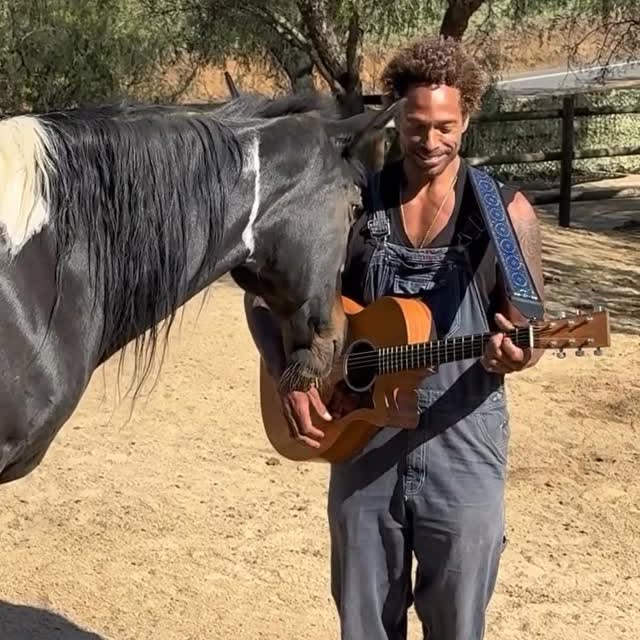 Gary Dourdan Creates Magical Connection With Rescue Horses Through Music At Skydog Sanctuary