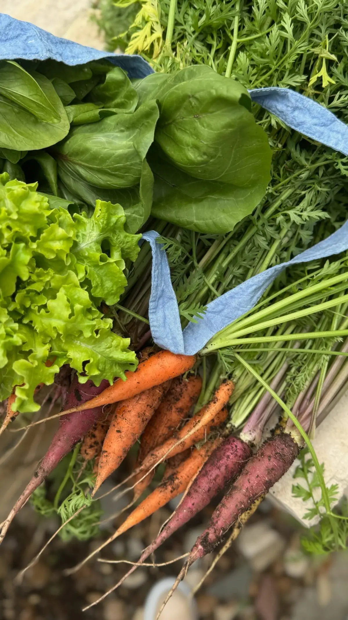 Genevieve Padalecki Embraces Present Moment With Unshared Easter Brunch The actress reminds us that life's best moments are meant to be lived, not instantly posted.