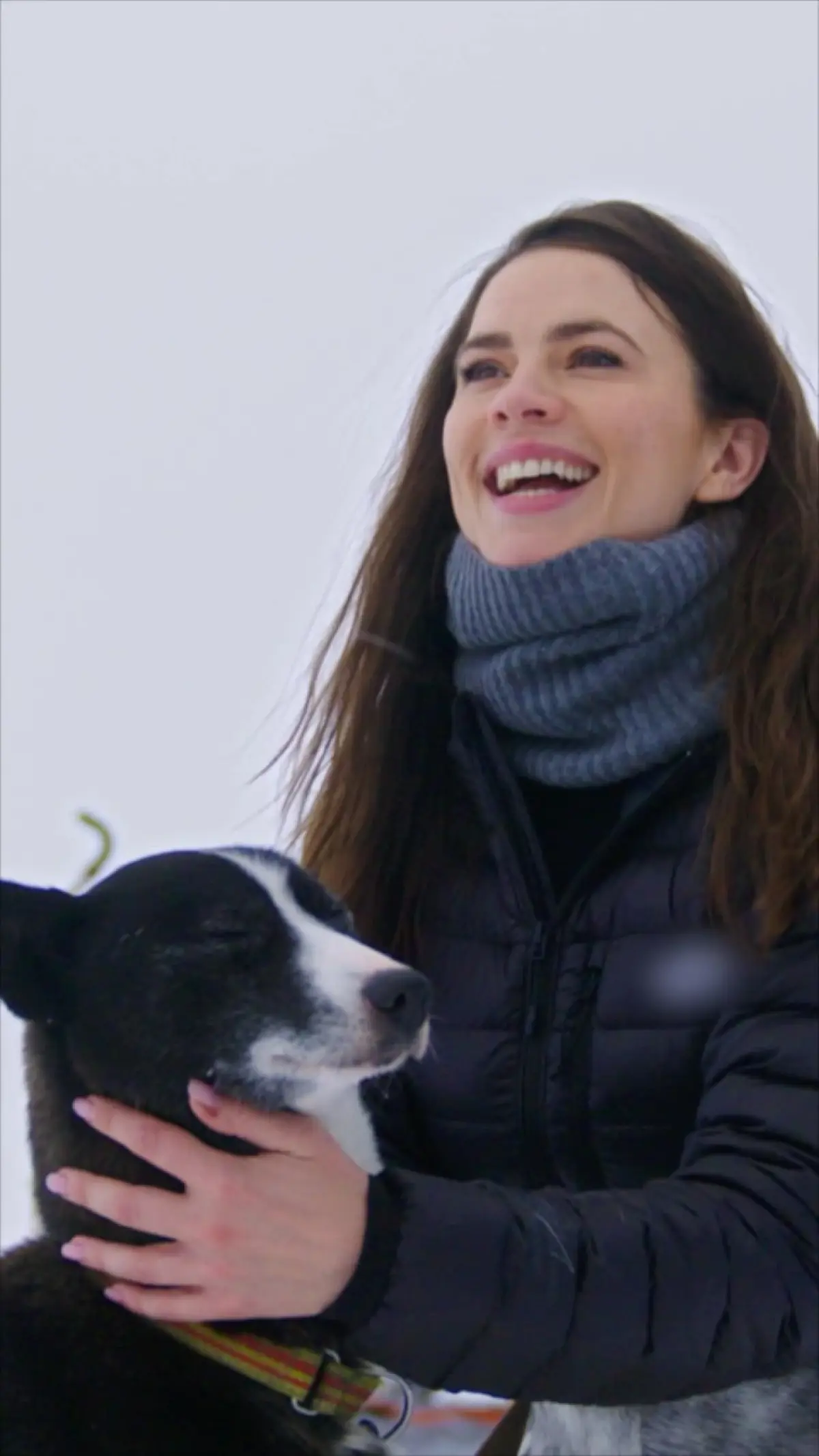 Hayley Atwell Takes On Bold Arctic Challenge With Sled Dogs For Mission Impossible Hayley Atwell Takes On Bold Arctic Challenge With Sled Dogs For Mission Impossible