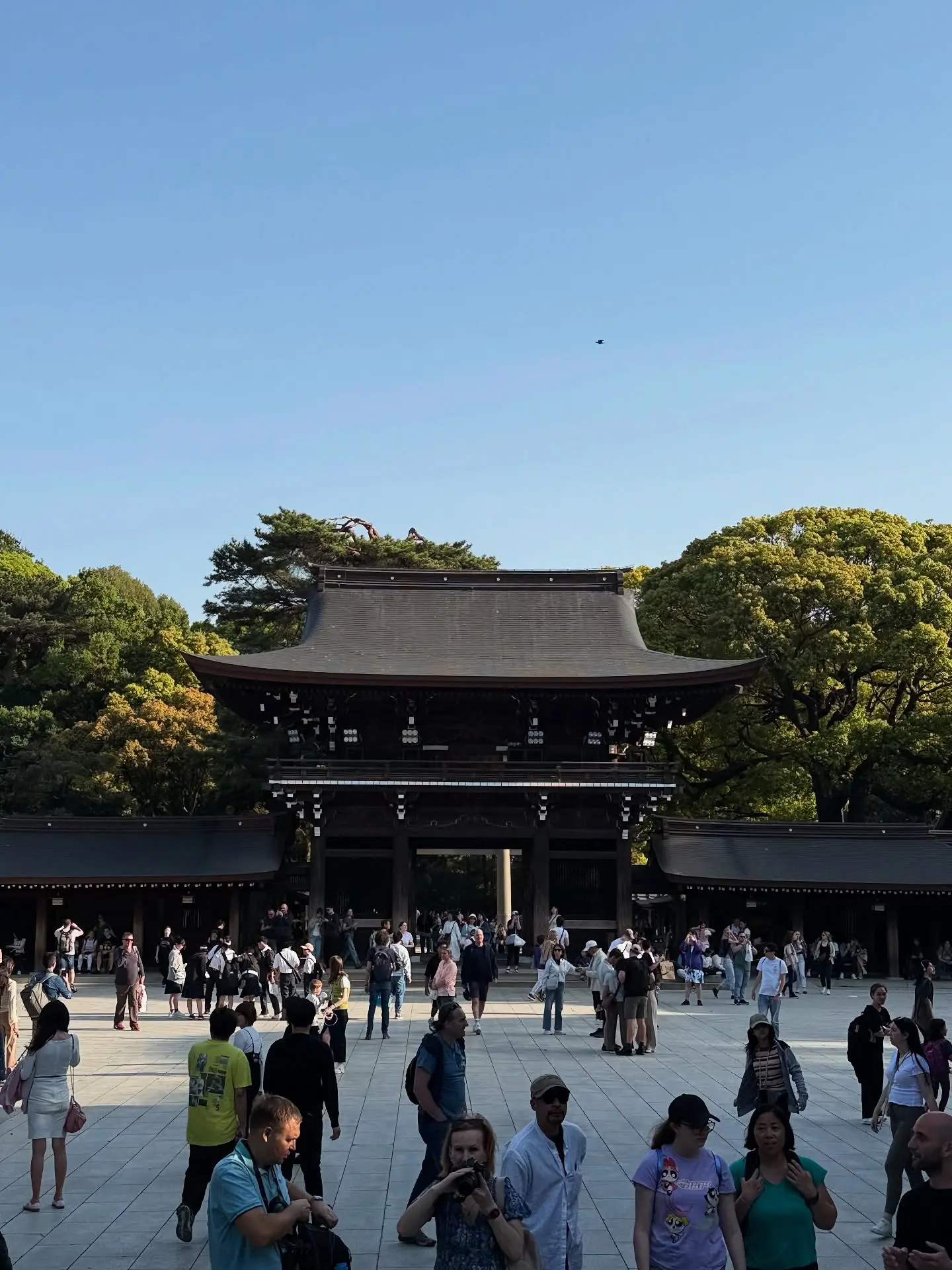 IJustine's Japan Adventure Day 4: From Hakone To Tokyo For Shaved Ice Reservations