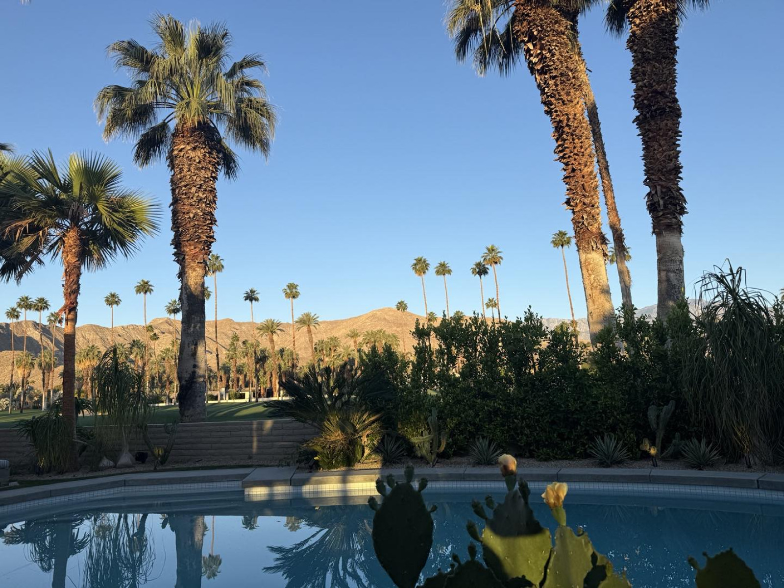 Jane Lynch Celebrates A Good Life Top actress shares a heartfelt Instagram moment that lifts spirits, sparks sheer joy daily.