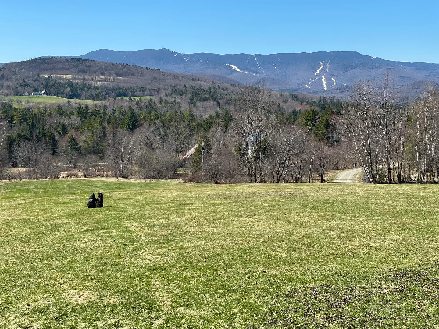 Kyle Gallner Shares Heartwarming Mountain Getaway With His Dog Indiana During Spring Break Kyle Gallner Shares Heartwarming Mountain Getaway With His Dog Indiana During Spring Break