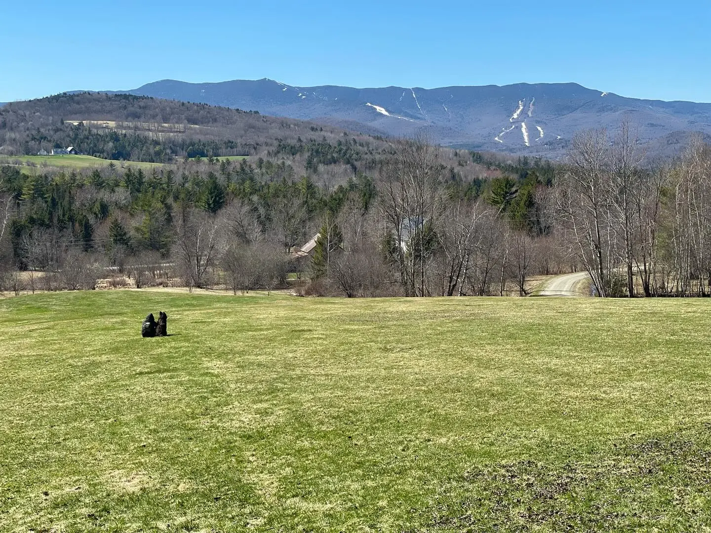 Kyle Gallner Shares Heartwarming Mountain Getaway With His Dog Indiana During Spring Break Kyle Gallner Shares Heartwarming Mountain Getaway With His Dog Indiana During Spring Break