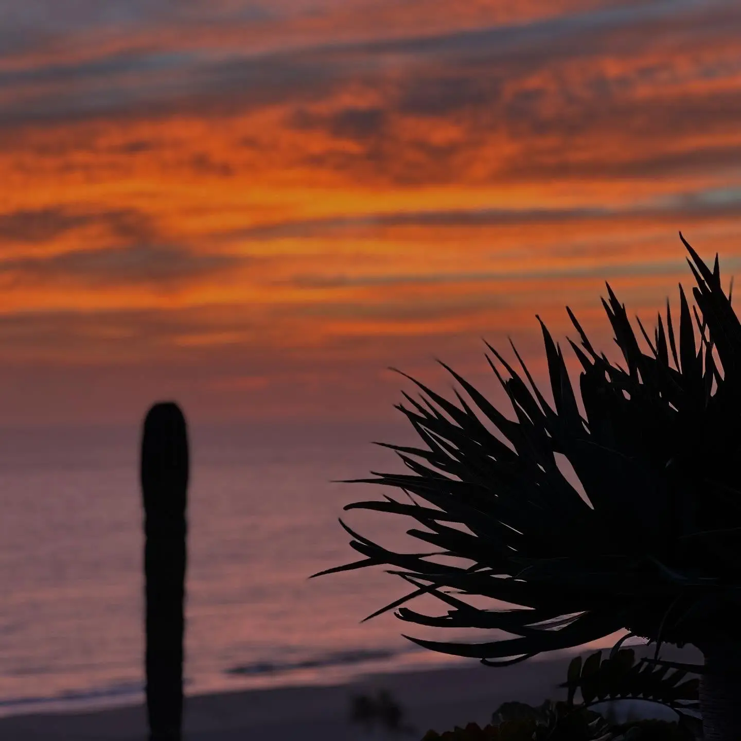 Melissa Fumero Shares Picturesque Getaway With Friends In Mexico