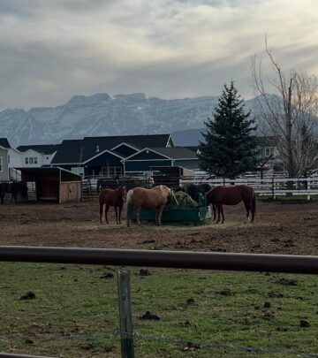 The actress and game show host posts stunning mountain views during her travels to the Beehive State.