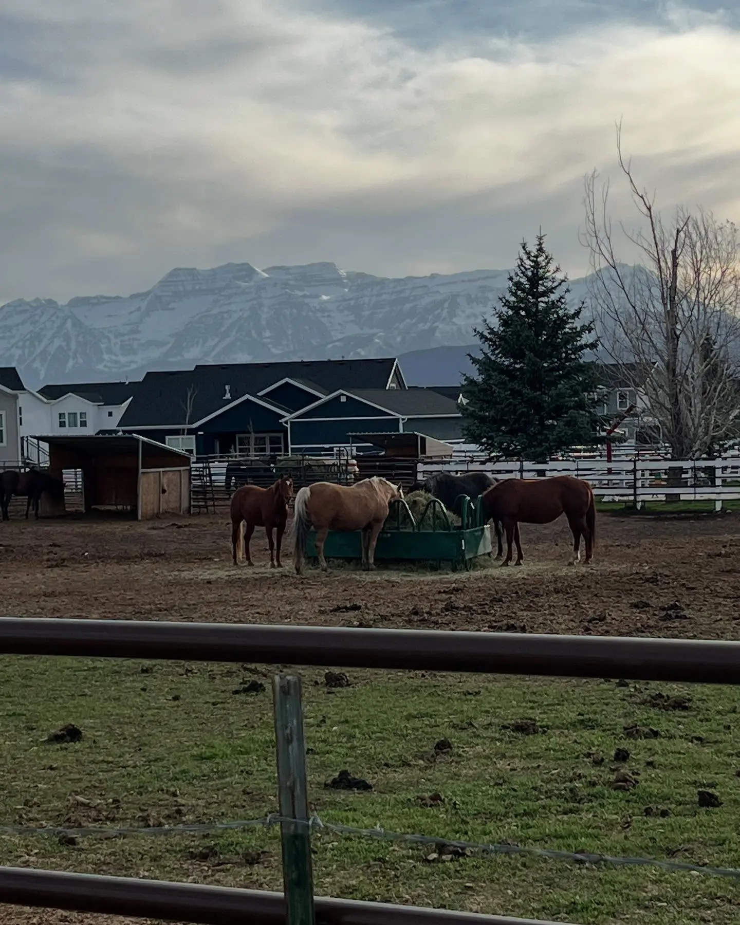 Melissa Peterman Shares Scenic Glimpse Of Her Visit To Utah