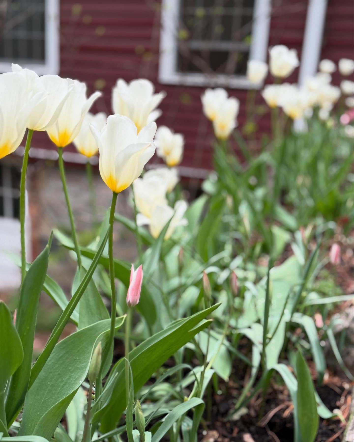 Molly Ringwald Embraces Nature With New Garden Instagram