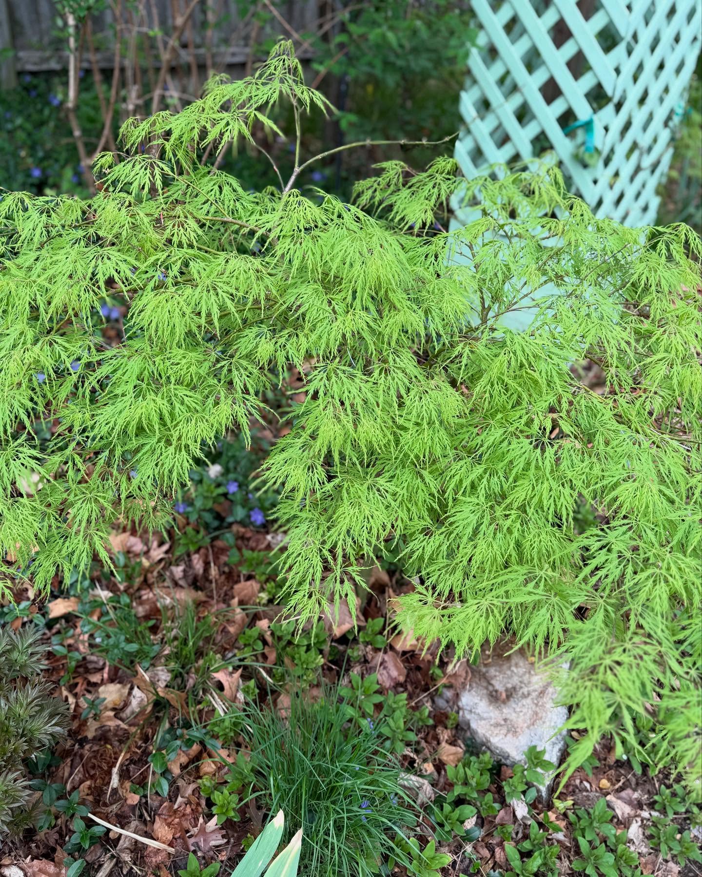 Molly Ringwald Embraces Nature With New Garden Instagram