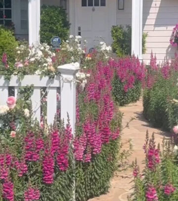 Nancy Lee Grahn Celebrates Birthday With Garden Rebirth