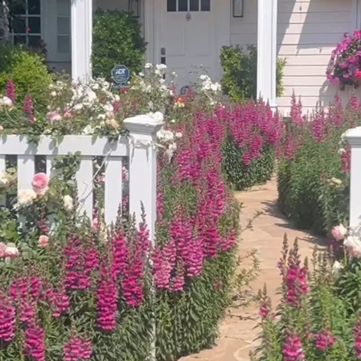 Nancy Lee Grahn Celebrates Birthday With Garden Rebirth Nancy Lee Grahn returns home after Japan trip, embraces garden life and birthday bliss.!!!