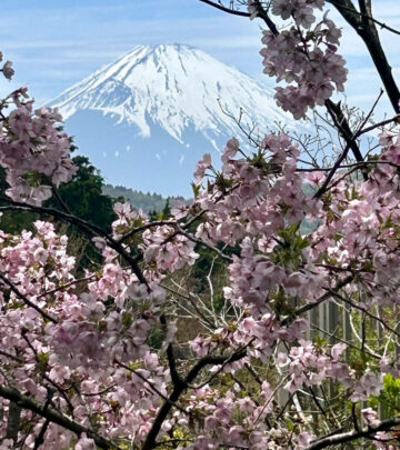 Nancy Lee Grahn Discovers Hidden Gem: Rare Full View of Mount Fuji