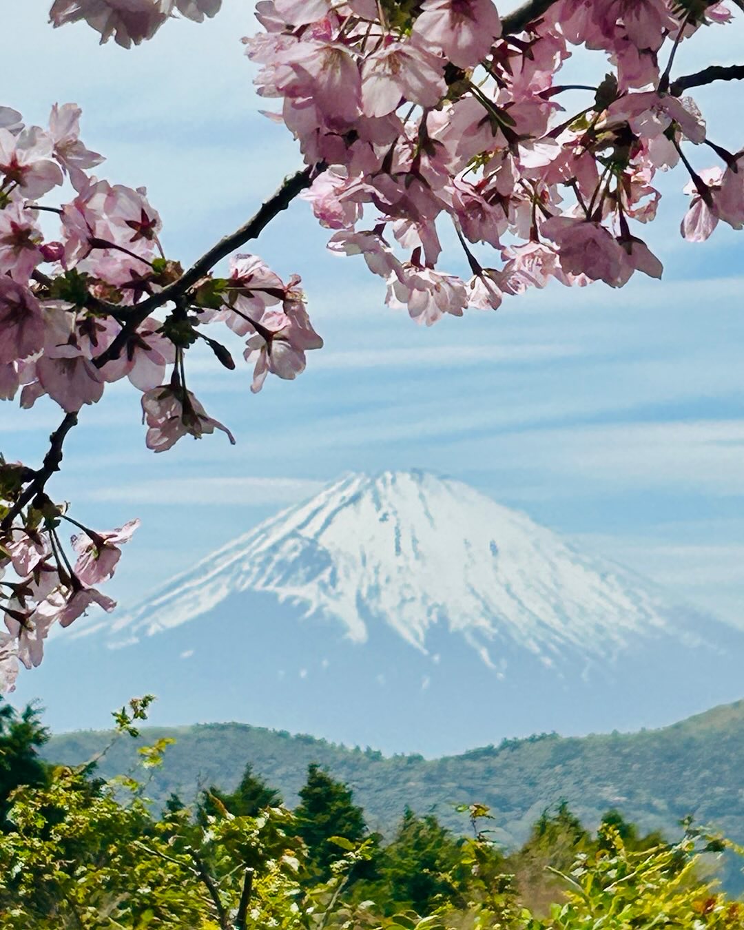Nancy Lee Grahn Discovers Hidden Gem: Rare Full View of Mount Fuji