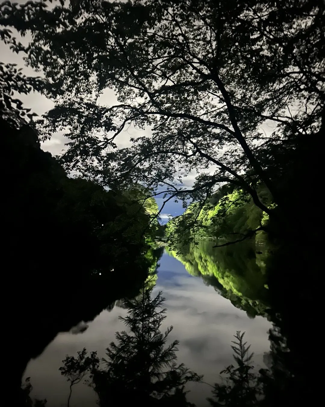 Nancy Lee Grahn Shares Serene Night View From Kyoto During Japan Vacation Nancy Lee Grahn Shares Serene Night View From Kyoto During Japan Vacation