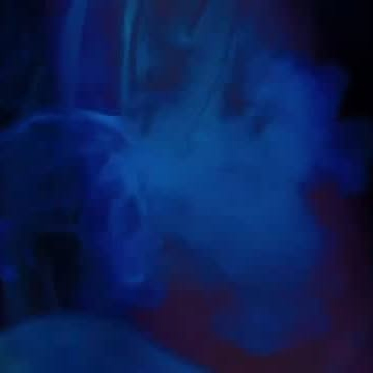 Next Gen Wayans Creative Surge: Music & Video Collaboration Next-gen Wayans talents push creative boundaries with bold beats and visuals.