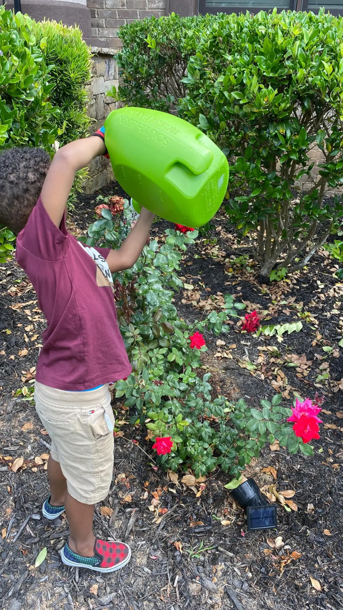 Nicci Gilbert Honors Late Sister Debbie With Rose Garden Tribute Singer finds healing through gardening after loss, as roses symbolize her journey through grief