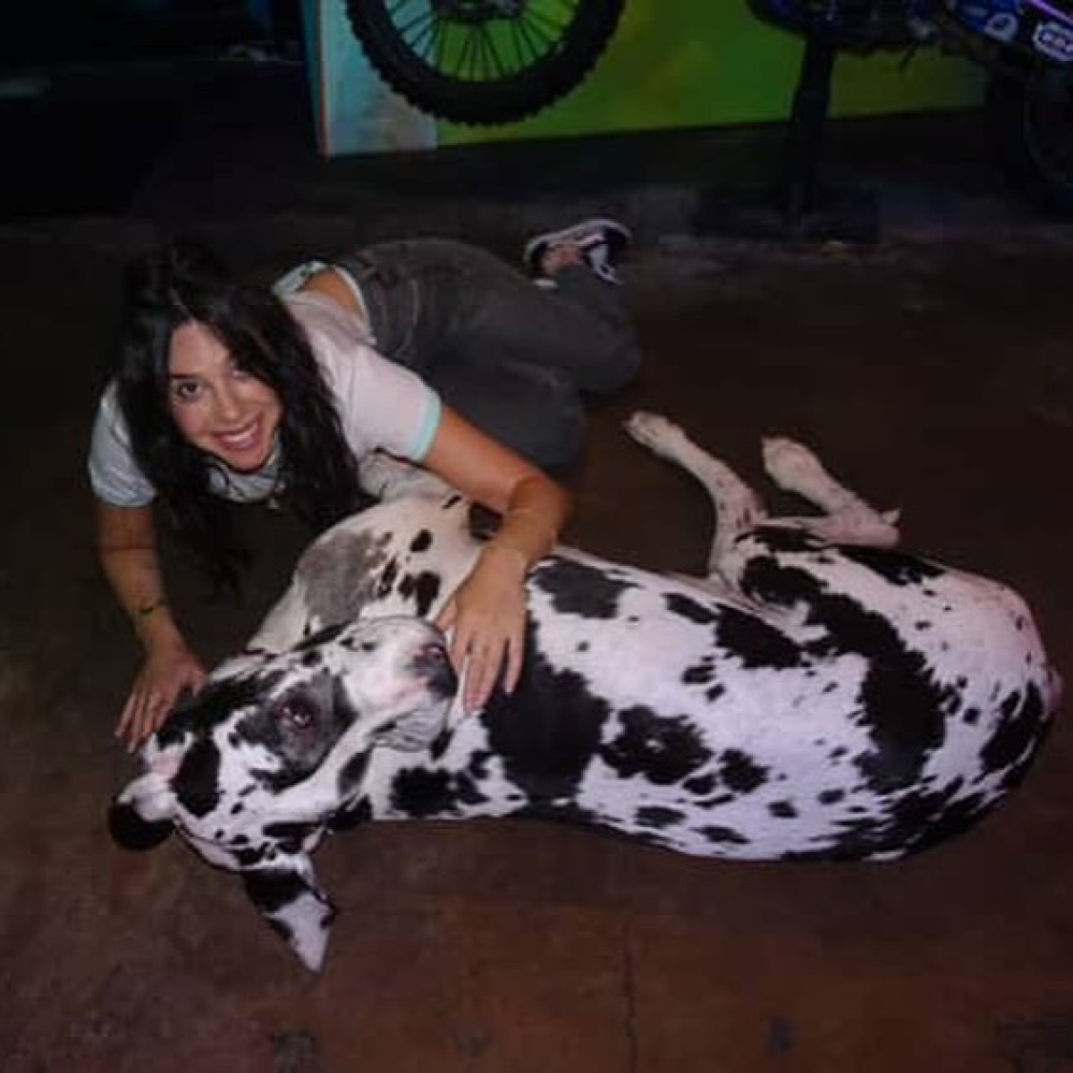 Celebrity Rachel Wolfson reveals fresh photos by Kylie Troop, enchanting fans worldwide High Mystery fame actress stuns with playful Instagram imagery
