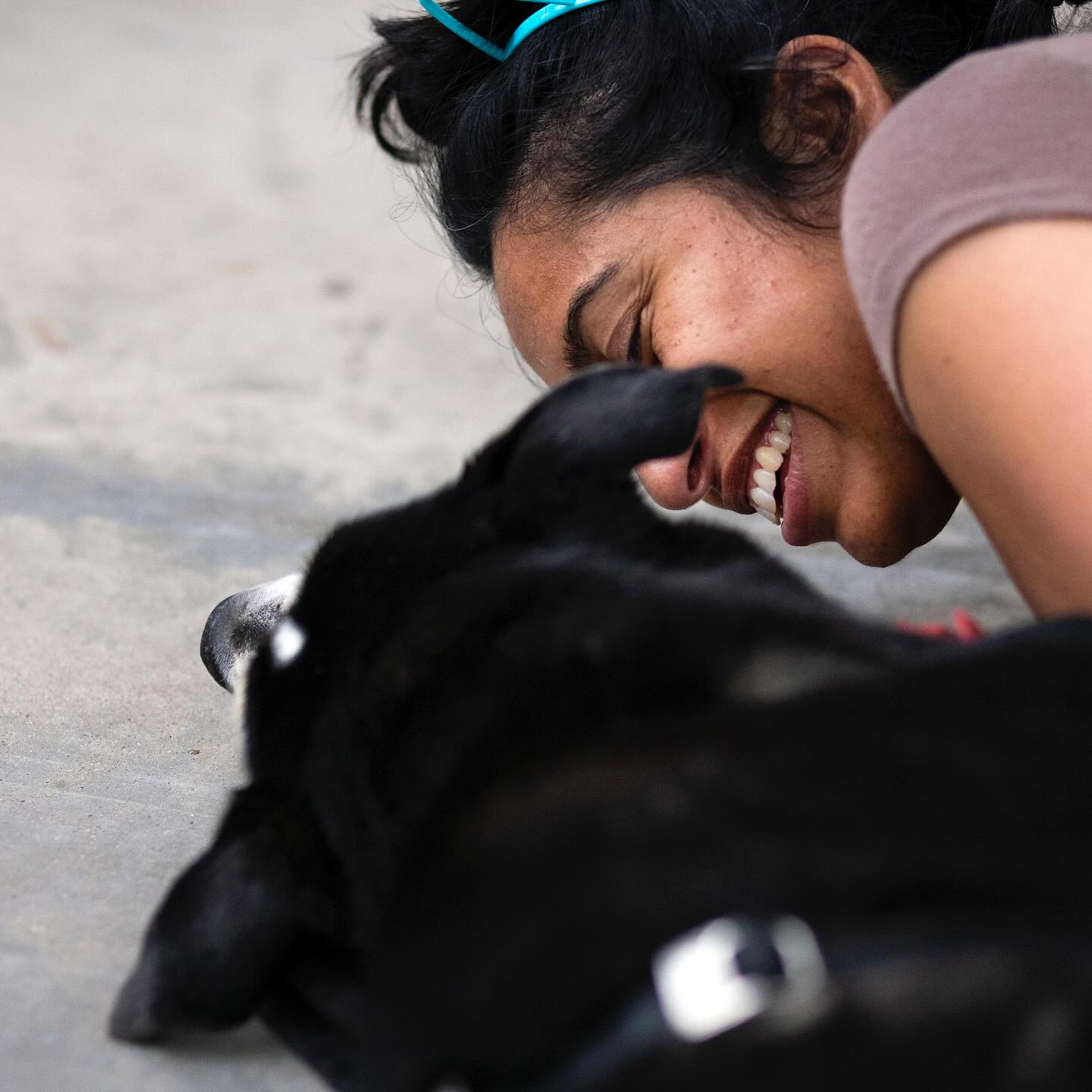Comedian and improv artist finds solace in animal companionship following grief over lost pets.