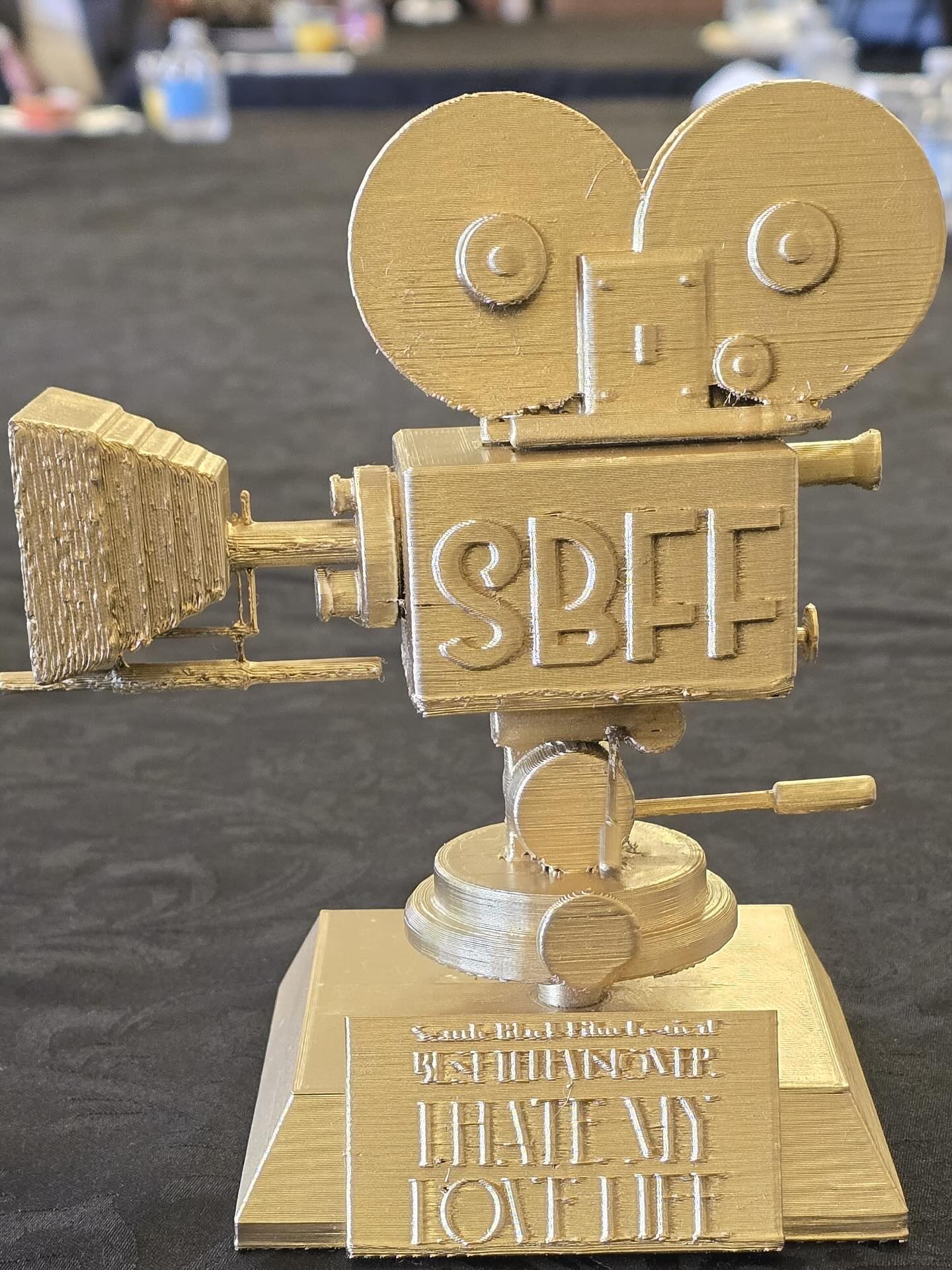 Reggie Hayes wins TV accolade at Seattle Black Film Fest, promising more festivals ahead.