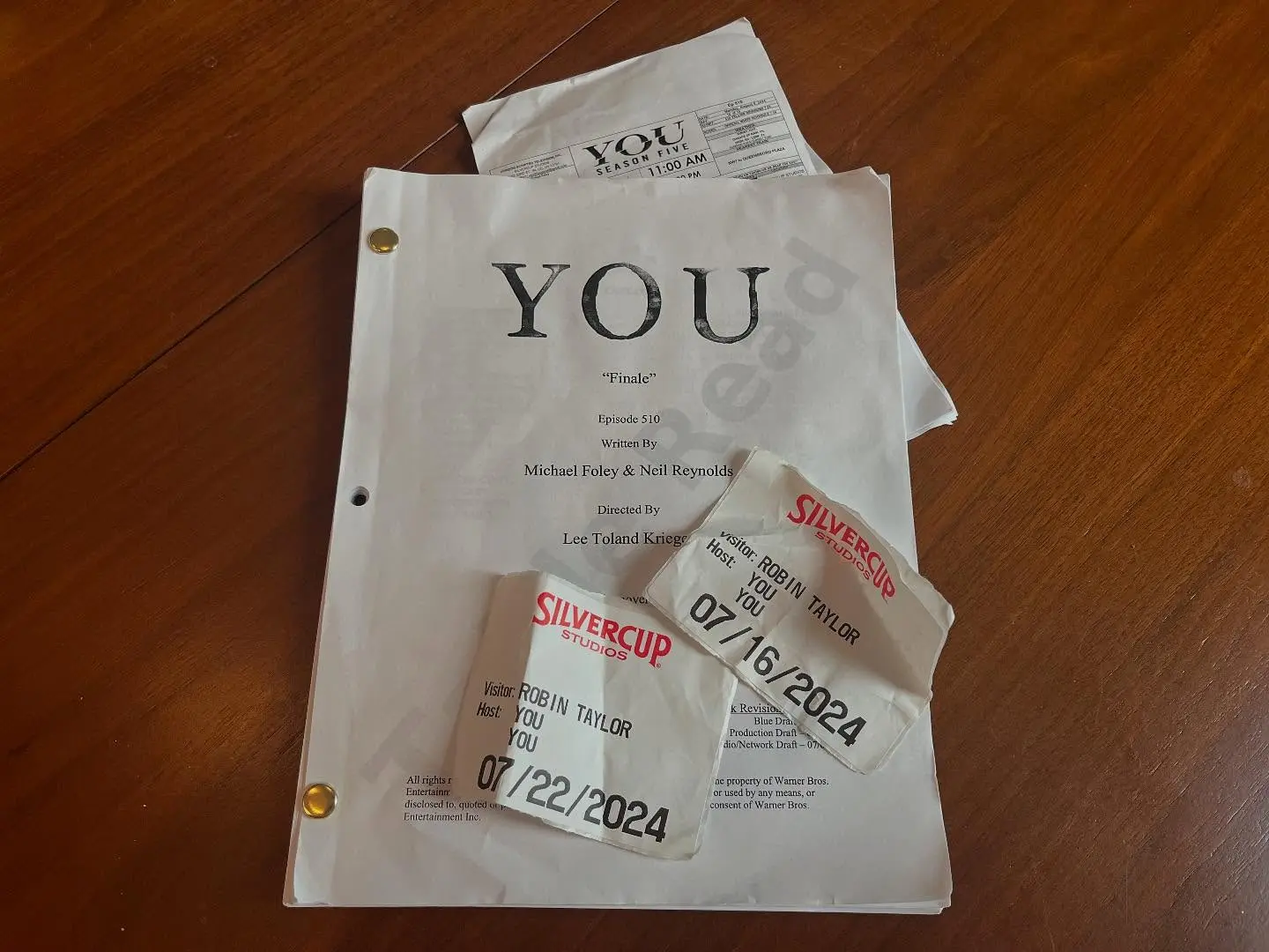 Robin Lord Taylor Joins 'You' Netflix Series For Final Season
