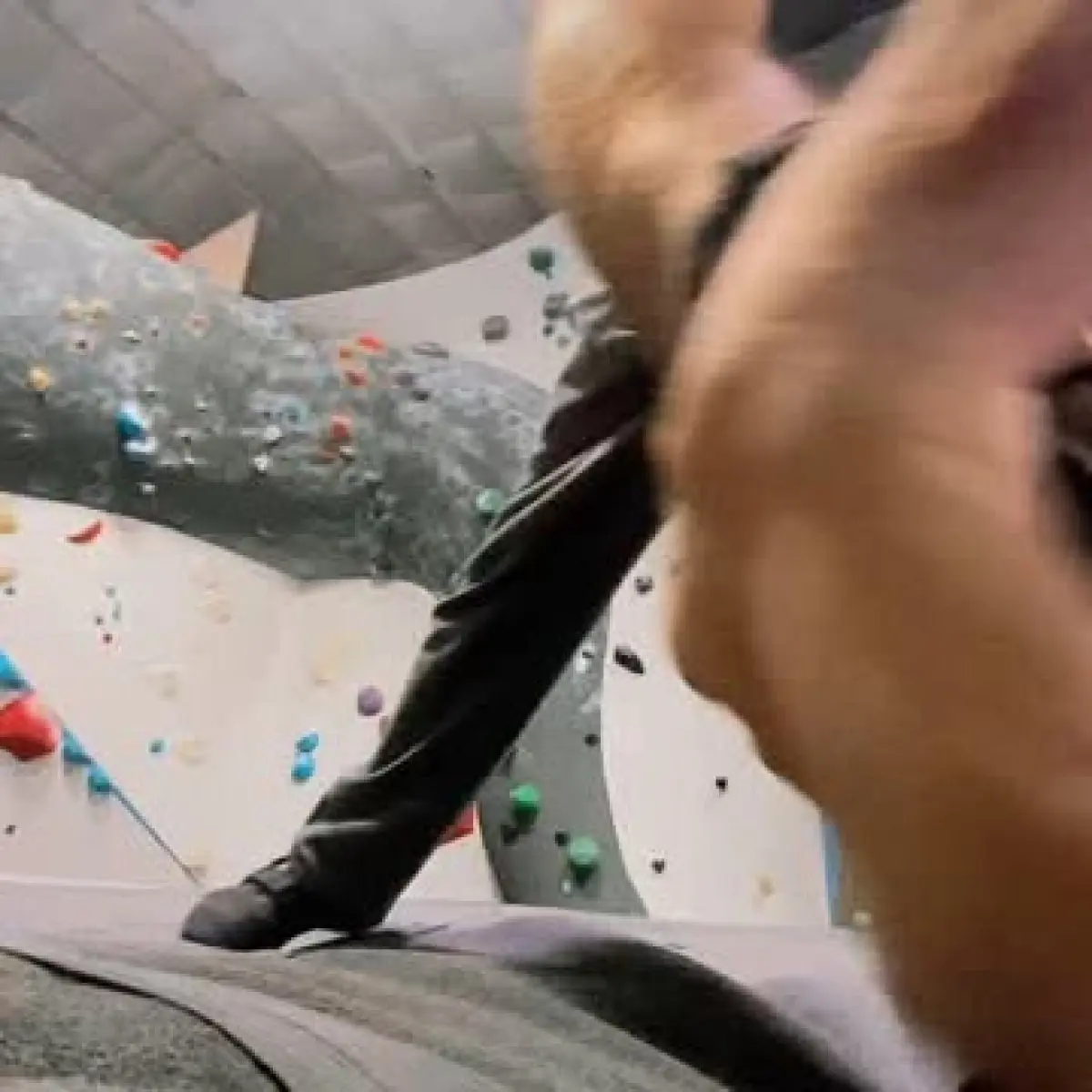 Actors shares he misses climbs yet embrace beach life and regular surf sessions. 