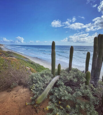 Ryan Paevey captures serene coastal vibes, enjoying solitude by the sea for mindful chill!