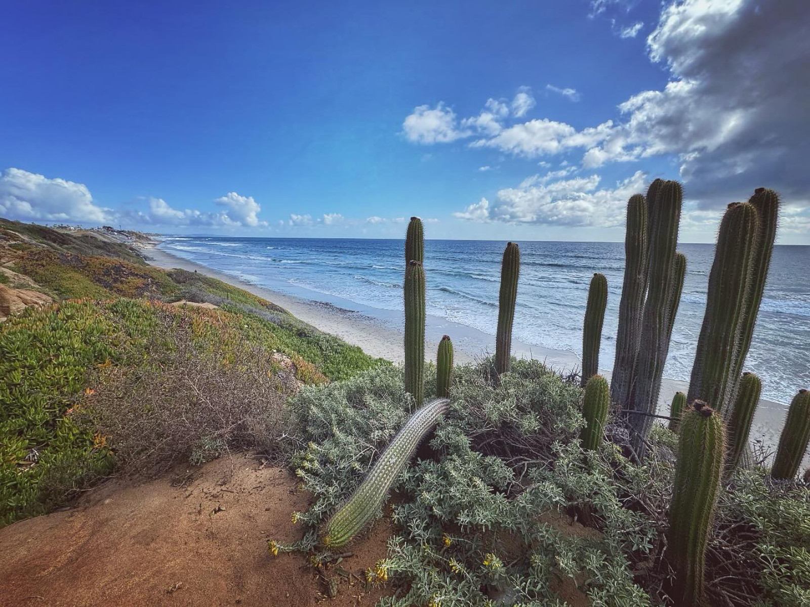 Ryan Paevey Embraces Ocean Vibes In Instagram Post Ryan Paevey captures serene coastal vibes, enjoying solitude by the sea for mindful chill!