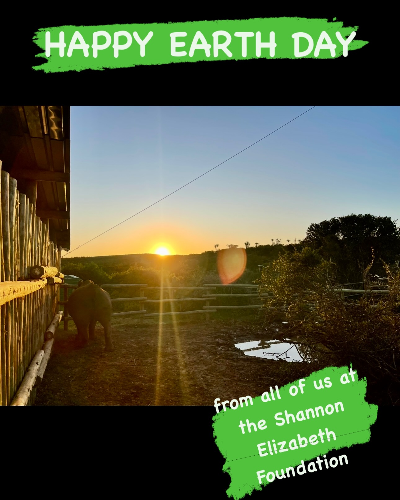 Shannon Elizabeth Calls For Wildlife Conservation On Earth Day Shannon Elizabeth Foundation Marks Earth Day With Call For Wildlife Conservation