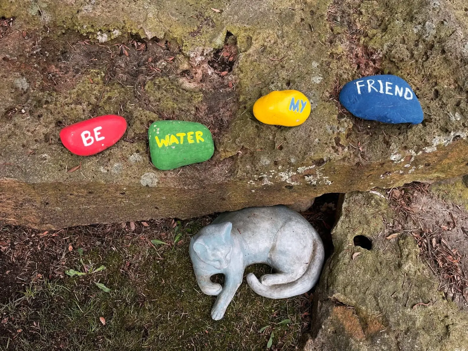 Shannon Lee Discovers Charming Bruce Lee Tribute In Hand-Painted Garden Rocks Daughter of martial arts legend finds touching artwork celebrating her father near family home