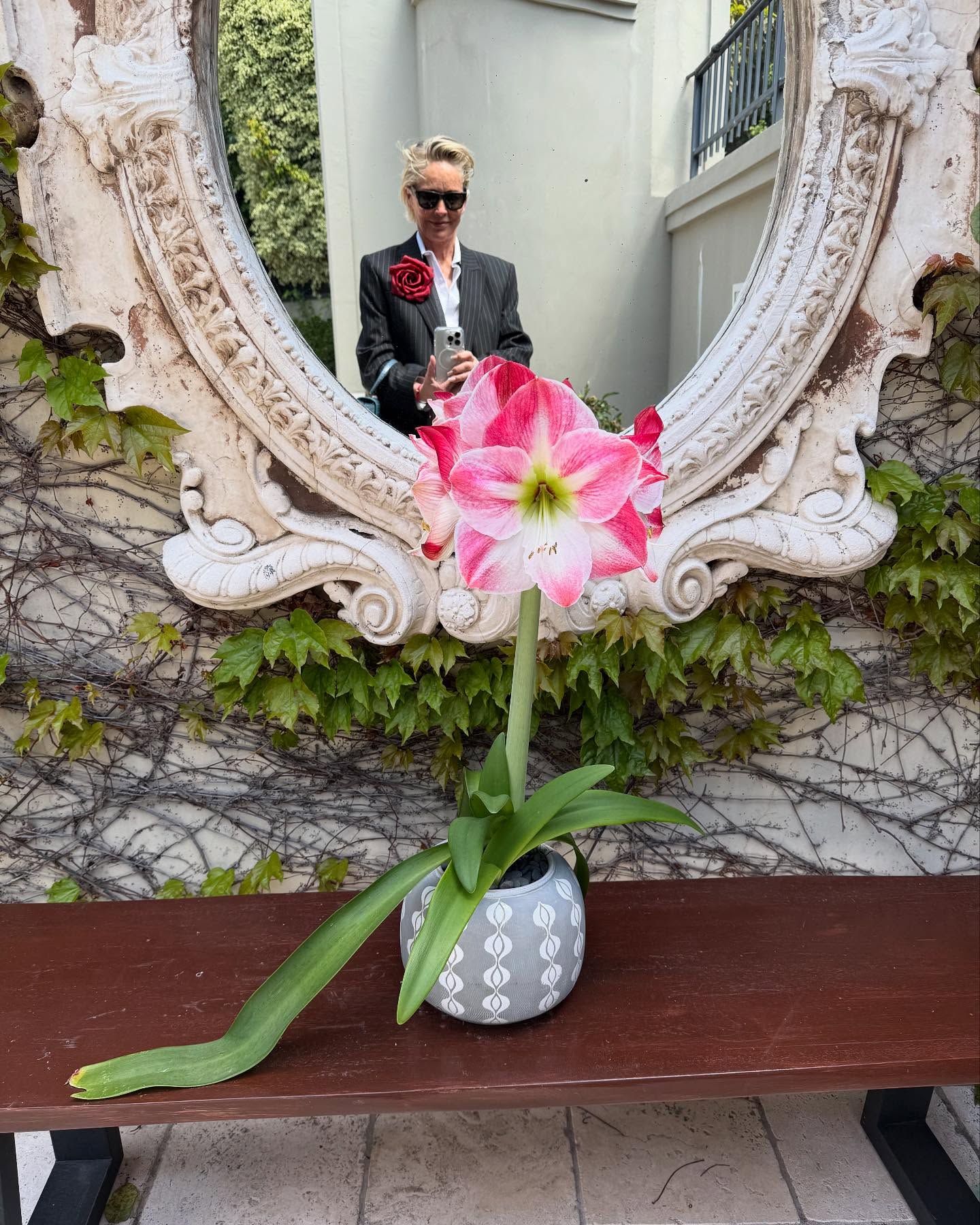 Sharon Stone Celebrates Spring Renewal at Home Sharon Stone welcomes spring at home, celebrating bloom, style, and renewal in new light.