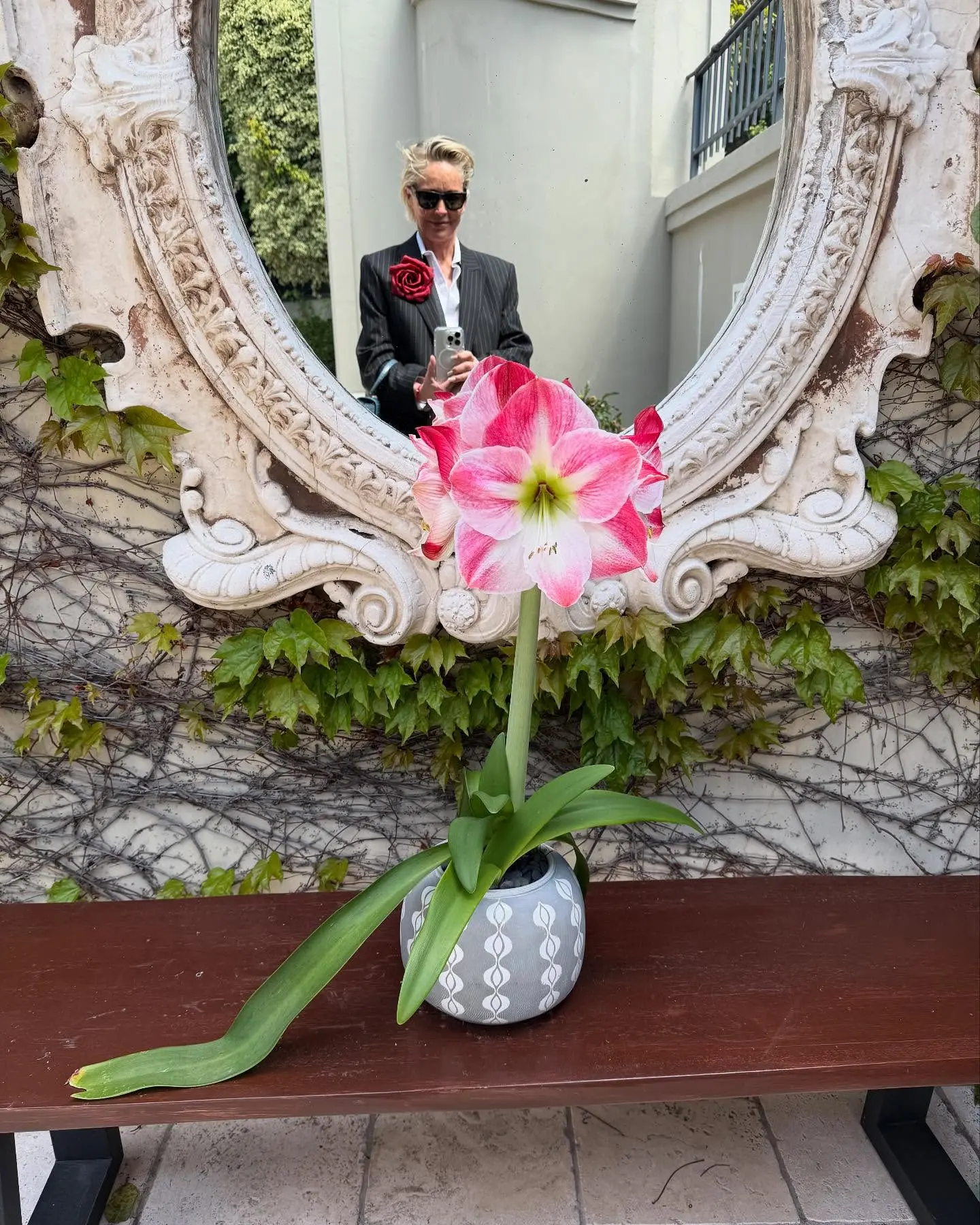 Sharon Stone Celebrates Spring Renewal at Home Sharon Stone welcomes spring at home, celebrating bloom, style, and renewal in new light.