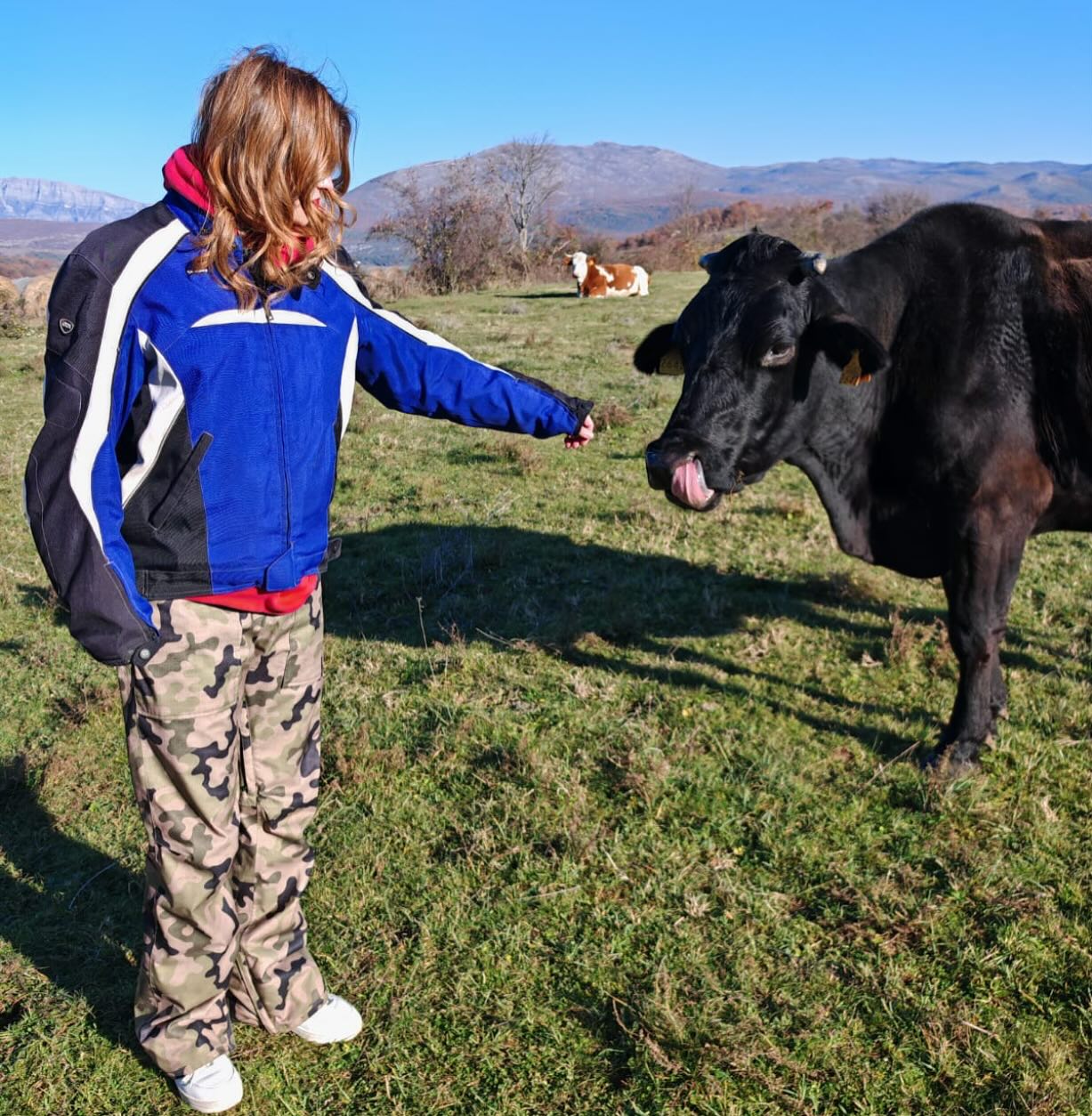 Stana Katic’s Bold Day Eight: Fitness, Nature, And Rebellion Actress redefines glamour with a cow, a jacket, and a mountain backdrop