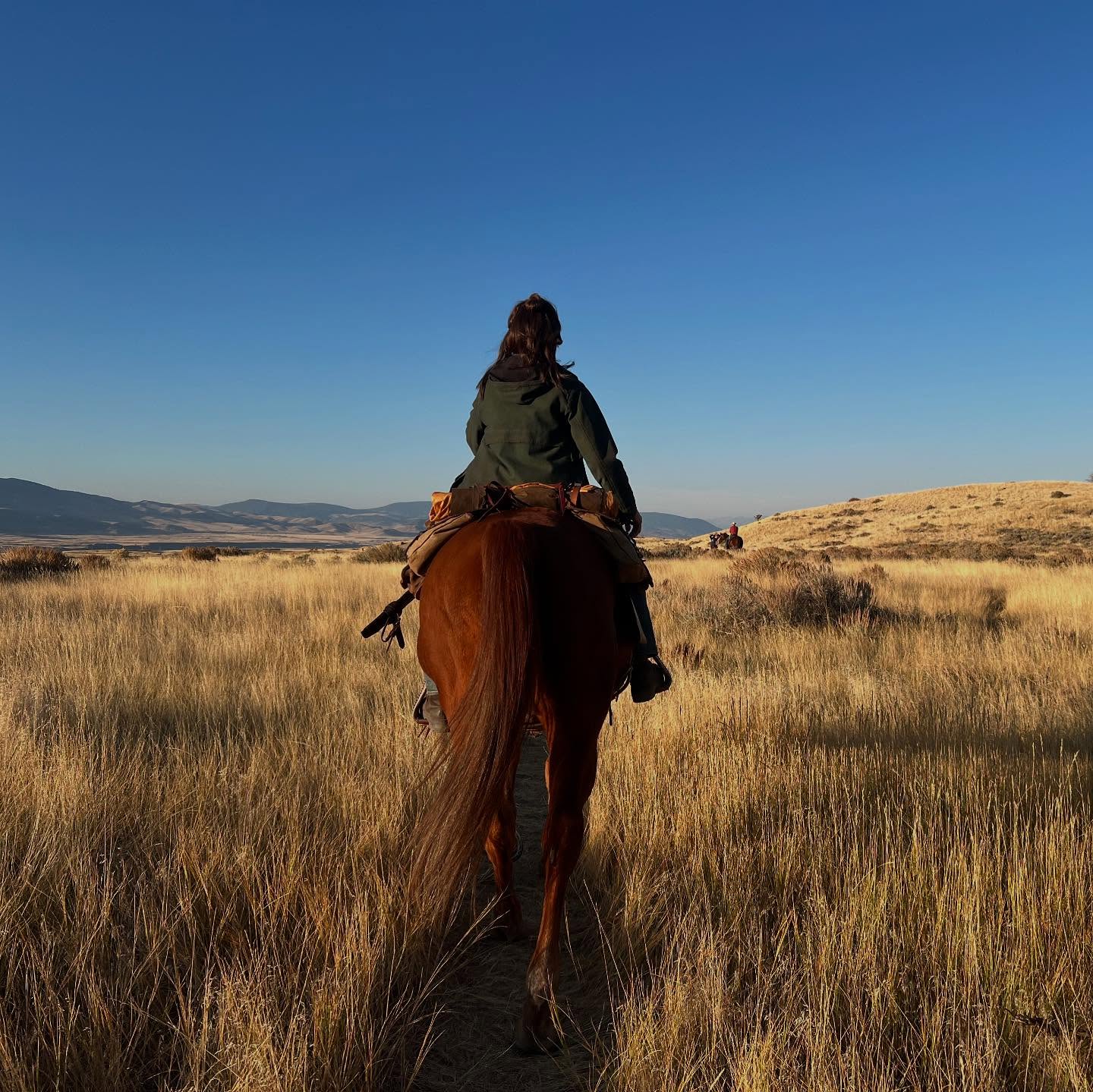 Tara Macken Rides Into Montana: A Cowgirl Stunt Adventure