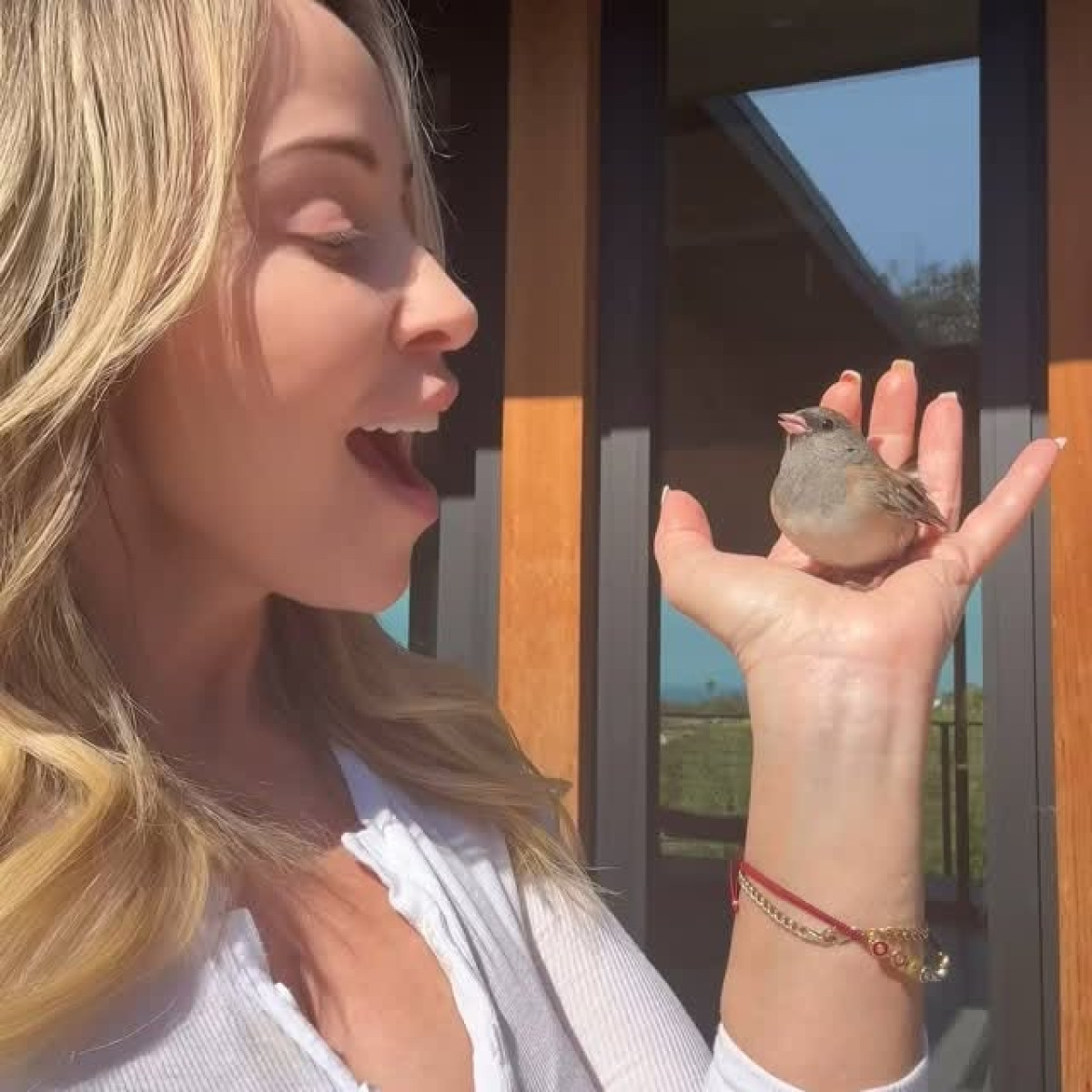 Tara Strong Makes A Feathered New Friend on Instagram Voice acting legend Tara Strong surprises fans with a quirky bird encounter on IG - cool!