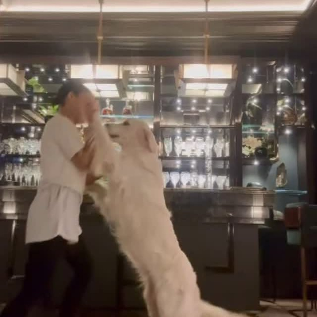 Tessa Thompson Celebrates International Dance Day on Social Media Star shares upbeat reel with pet to classic ESG track, adding flair to the global tribute to movement