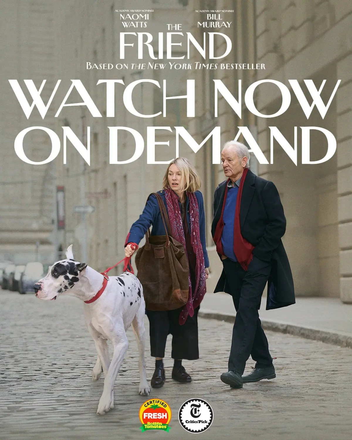 The Friend Movie Now Available On Demand A heartfelt story of love and loss : rent or own and enjoy a captivating cinematic experience.